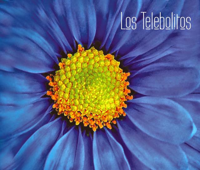 Los Telebolitos